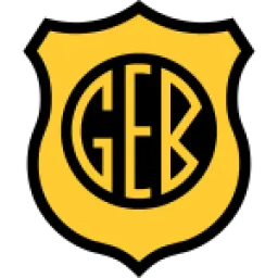 GE Bage RS