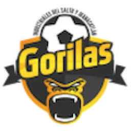 Gorilas De Juanacatlan