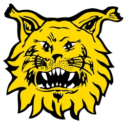 Ilves
