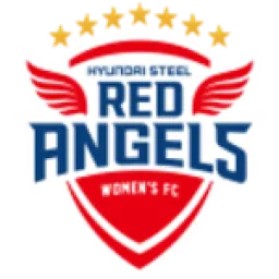 Incheon Hyundai Steel Red Angels