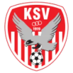 Kapfenberger SV 1919