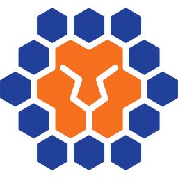 Queensland Lions FC
