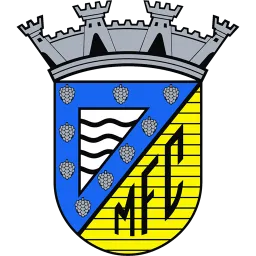 Mortagua FC