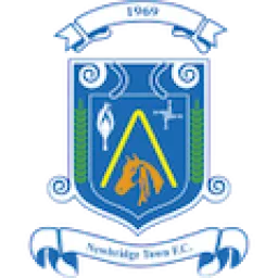 NEWBRIDGE TOWN