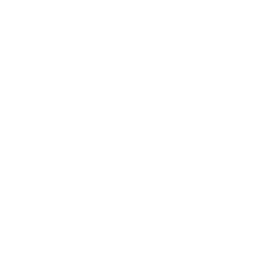 Randers FC