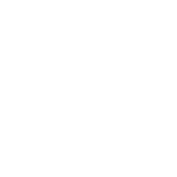Ringsted IF
