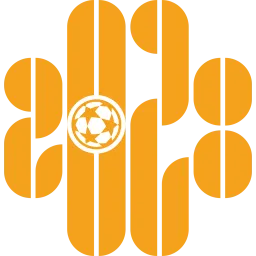 Shenzhen 2028 FC