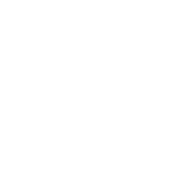 Swansea University