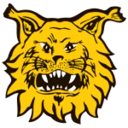 Tampereen Ilves 2