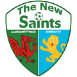 The New Saints