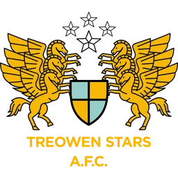 Treowen Stars