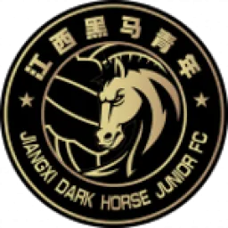 Jiangxi Dark Horse Junior