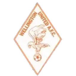WELLINGTON UNITED DIAMONDS