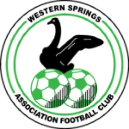Prognóstico Auckland City - Western Springs AFC - Odds & Estatísticas ...