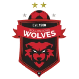 Wollongong Wolves FC