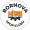 Bornova Hitab Spor