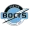 Boston Bolts