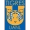 CF Tigres UANL