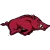Arkansas Razorbacks