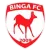 Binga FC