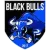 Black Bulls FC