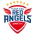 Incheon Hyundai Steel Red Angels
