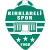 Kirklarelispor