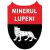 Minerul Lupeni