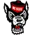 North Carolina State Wolfpack