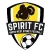NSW Spirit