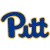 Pittsburgh Panthers