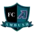 Saint Louis Ambush
