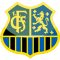 Saarbrucken team logo 