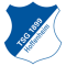 TSG 1899 Hoffenheim II team logo 