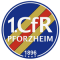 Pforzheim team logo 