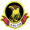 Aali team logo 