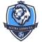 Accra Lions team logo 