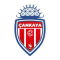 Cankaya FK team logo 