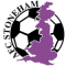 AFC Stoneham team logo 