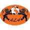 Africa United team logo 