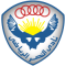 Al Nasr Cairo team logo 