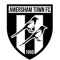 Amersham Town FC team logo 