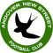 Andover New Street FC team logo 