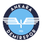 Ancara Demirspor team logo 