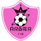 Arbaer team logo 