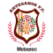 Artesanos Metepec FC