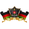 Assam Rifles team logo 