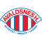 Avaldsnes IL D team logo 