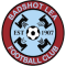 Badshot LEA team logo 