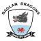 Baglan Dragons team logo 